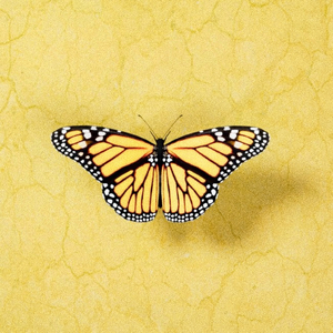 日本黄色三级片网址
