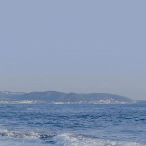 日本黄色三级片网址
